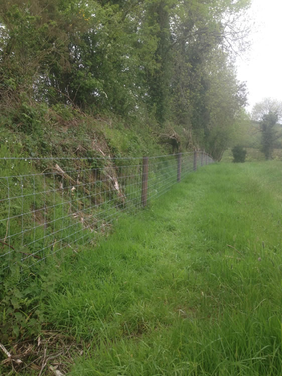 Agricultural Fencing Mark Ryan Fencing