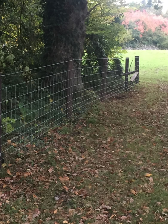 Agricultural Fencing - Post and Wire Mesh