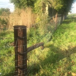 Agricultural Fencing | Stock Fencing